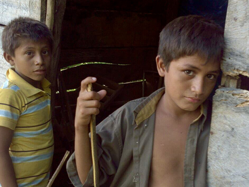 Miniatura de la galería